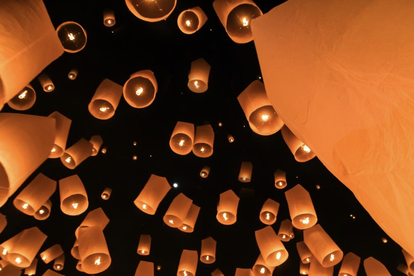 The Endocannabinoid System Under Pressure